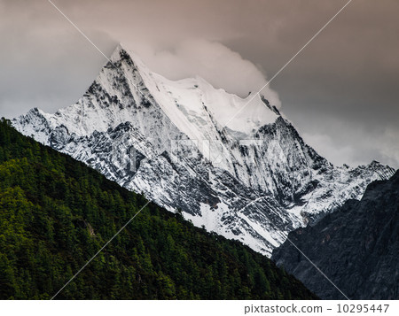 Yading 10295447