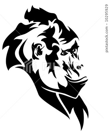 wild mountain gorilla head black and white vector outline 10295929
