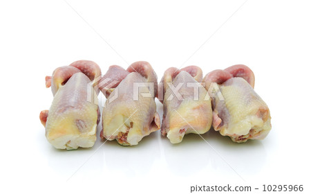 raw quail carcass on a white background 10295966