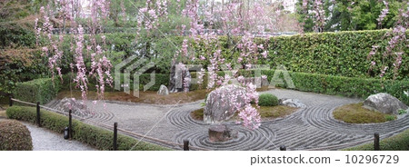 Myoshinji Retirement Hospital 10296729