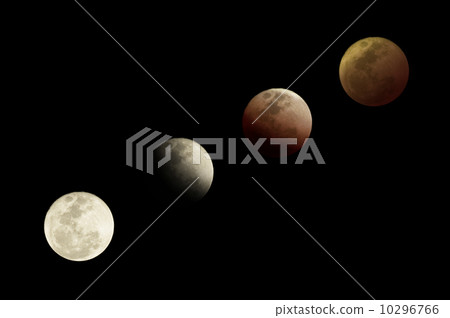 Moon Phases 10296766