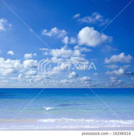 Tropical beach 10296816