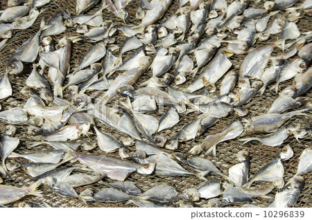 salted fish 10296839