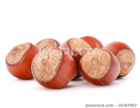 hazelnut or filbert nut isolated on white background cutout 10297907