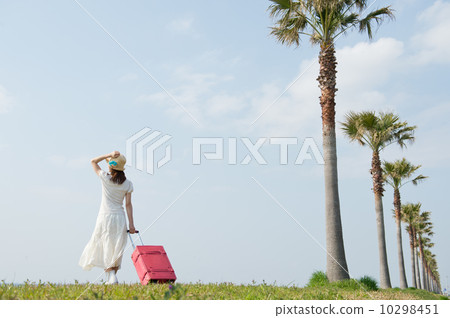 走帶著手提箱的婦女 10298451