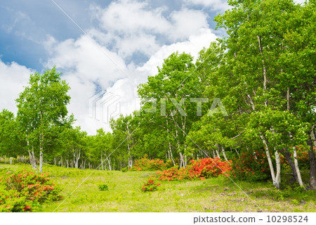 Yamazaki of the plateau Yamazaki of the plateau 10298524