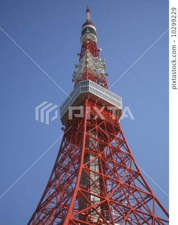 東京鐵塔 10299229