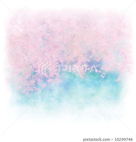 垂枝櫻花 垂枝櫻花 10299746