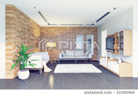 living room interior living room interior 10300460