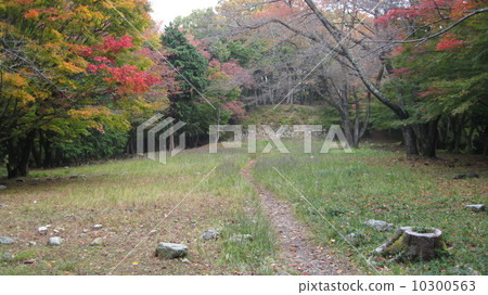 Honmaru Ishigaki from the trace of the large hall of Otani Castle Ruins 10300563