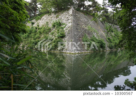 High Ishigaki of Iga Ueno Castle Ruins 10300567