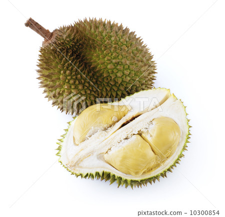 Durian Durian 10300854