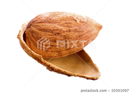 Almond 10301097