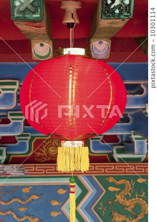 Chinese lanterns display 10301114