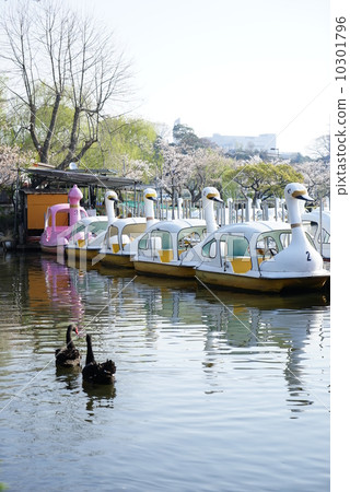 春天的麵條 10301796