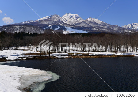 融雪的蠑螈池塘和妙高山 10302200