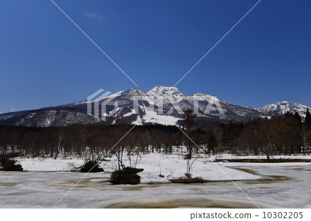 Snow melting newt pond and Mt. Myoko 10302205