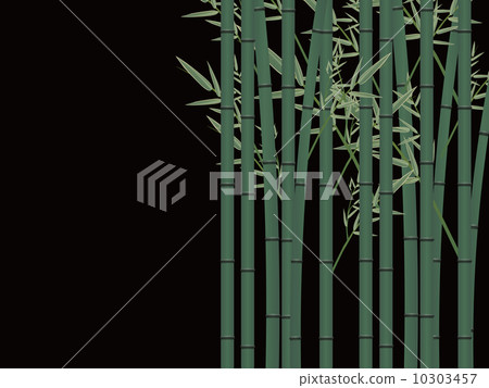  竹林 10303457