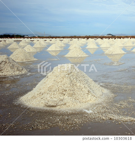 salt farm 10303618
