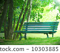  Bench in the forest 10303885