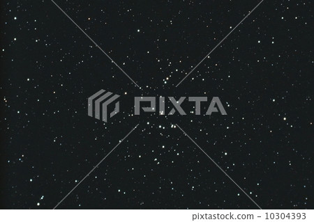 Cancer Pressep cluster Cancer Pressep cluster 10304393