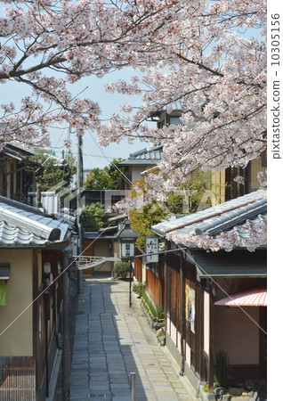 Cherry Stone Hori Koji 10305156