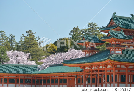 櫻花平安神宮 櫻花平安神宮 10305337