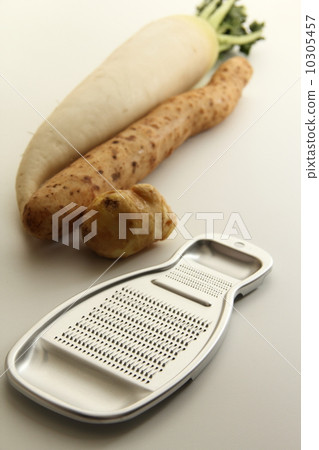 Grater 10305457