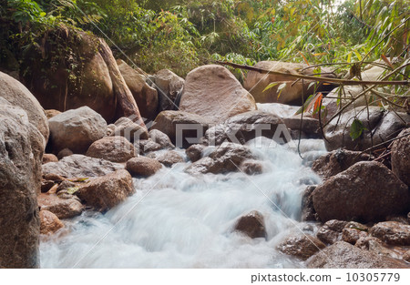 River in jungle 10305779