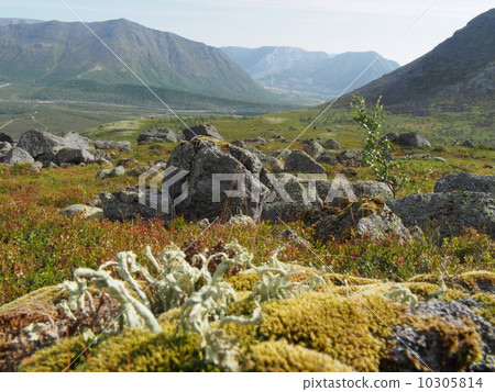 Hibiny mountain Hibiny mountain 10305814