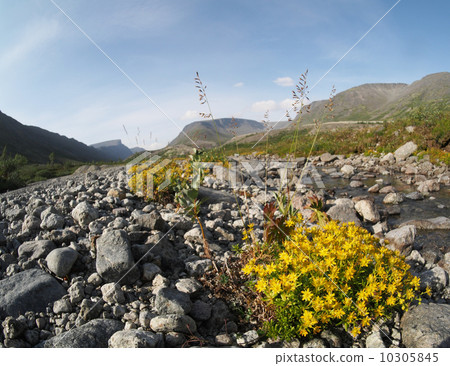 Hibiny mountain Hibiny mountain 10305845