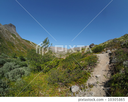 Hibiny mountain 10305865