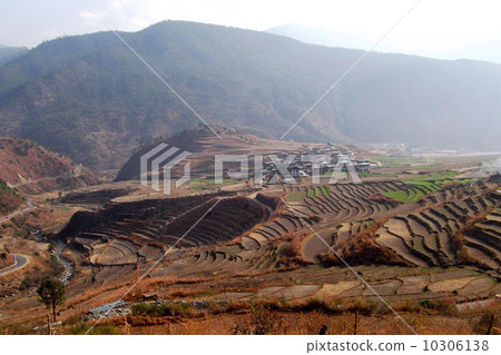 Scenery of Bhutan Kingdom Rice terrace Scenery of Bhutan Kingdom Rice terrace 10306138