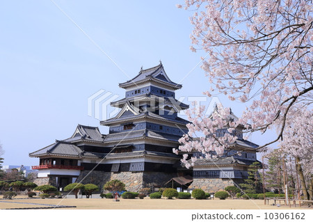 松本城堡在春天 松本城堡在春天 10306162