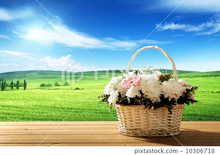 flowers on table and spring field 10306718