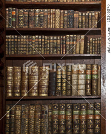 historic old books in old shelf library 10306870