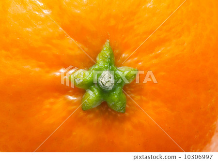 orange skin and green star orange skin and green star 10306997