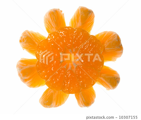 Sun made of citrus over white Sun made of citrus over white 10307155