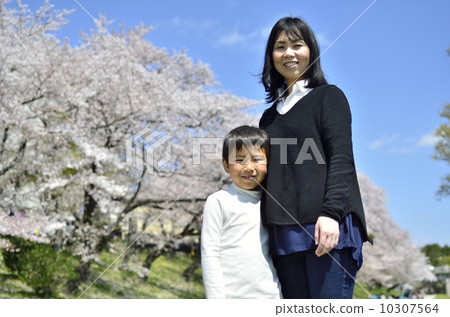Cherry-blossom viewing Cherry-blossom viewing 10307564