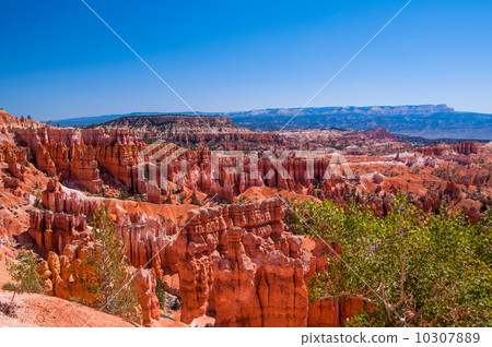 Superb view of Bryce Canyon 3 10307889