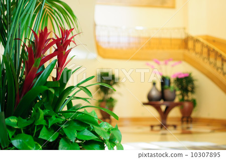 A room with plants 10307895