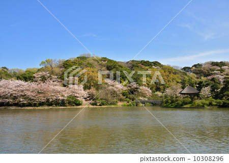 三皮花園派克 三皮花園派克 10308296