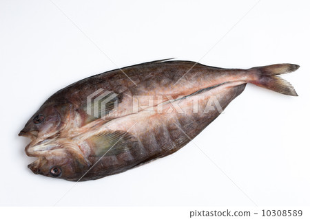 Dried hockey Dried hockey 10308589