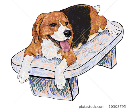 Beagle on chair Beagle on chair 10308795