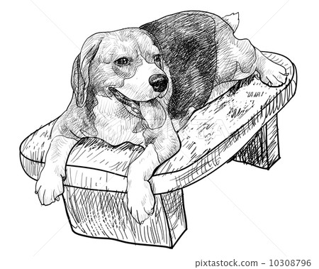 Beagle on chair Beagle on chair 10308796