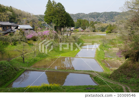 rural rural 10309546