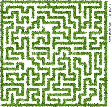 Bushes maze 10310211