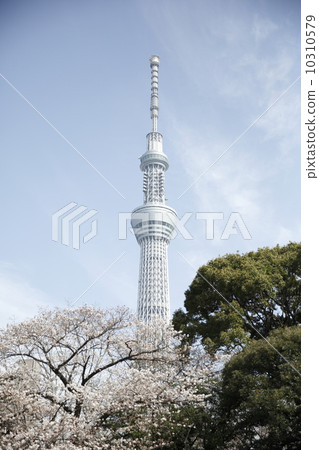 Tokyo Sky Tree Tokyo Sky Tree 10310579