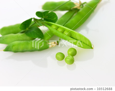 green pea pods green pea pods 10312688