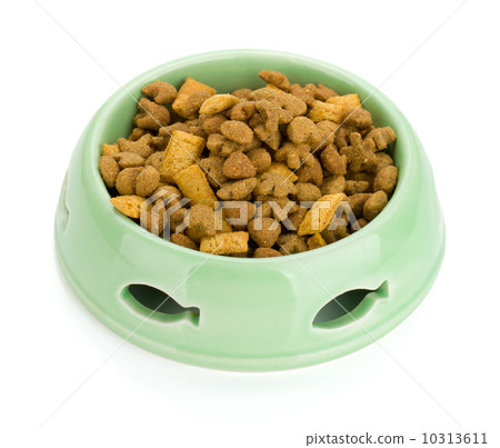 Cat food in a bowl 10313611